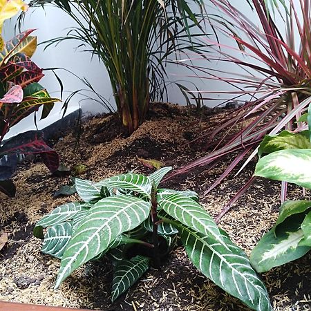 Hotel Jardin 38 Pasto Luaran gambar