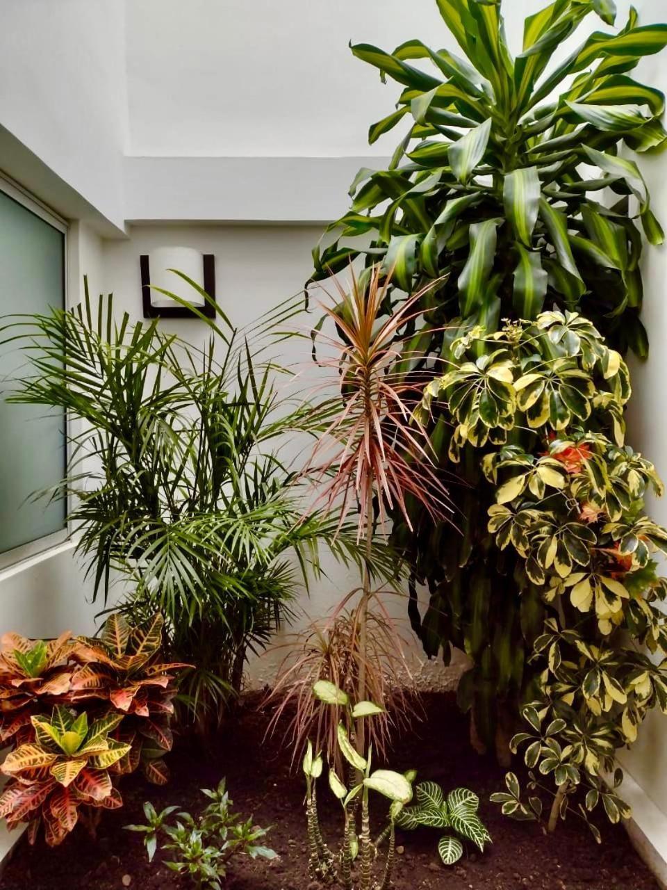 Hotel Jardin 38 Pasto Luaran gambar