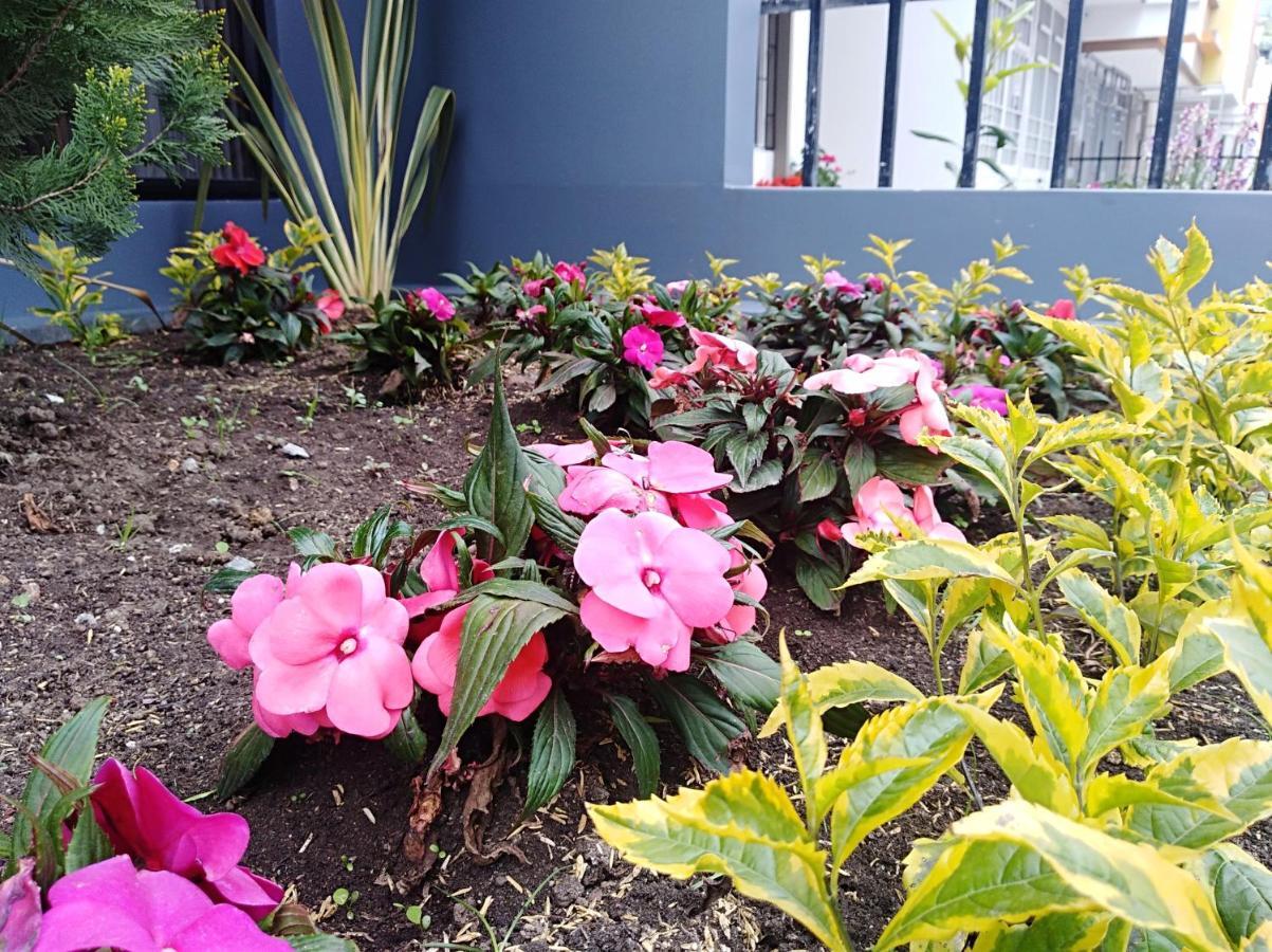 Hotel Jardin 38 Pasto Bilik gambar