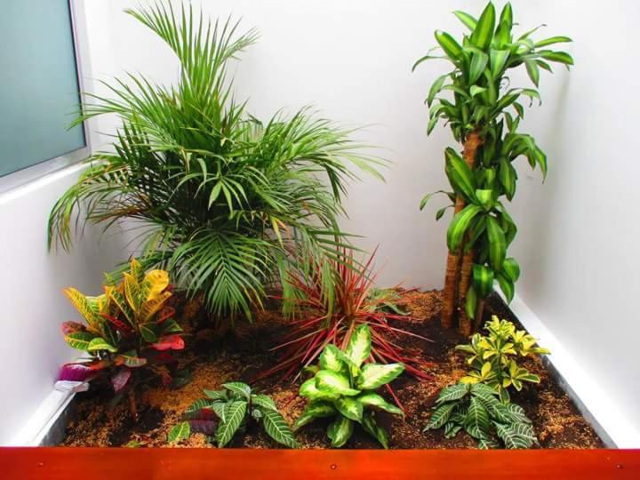 Hotel Jardin 38 Pasto Bilik gambar