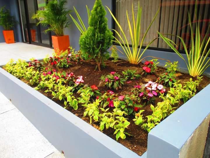 Hotel Jardin 38 Pasto Bilik gambar