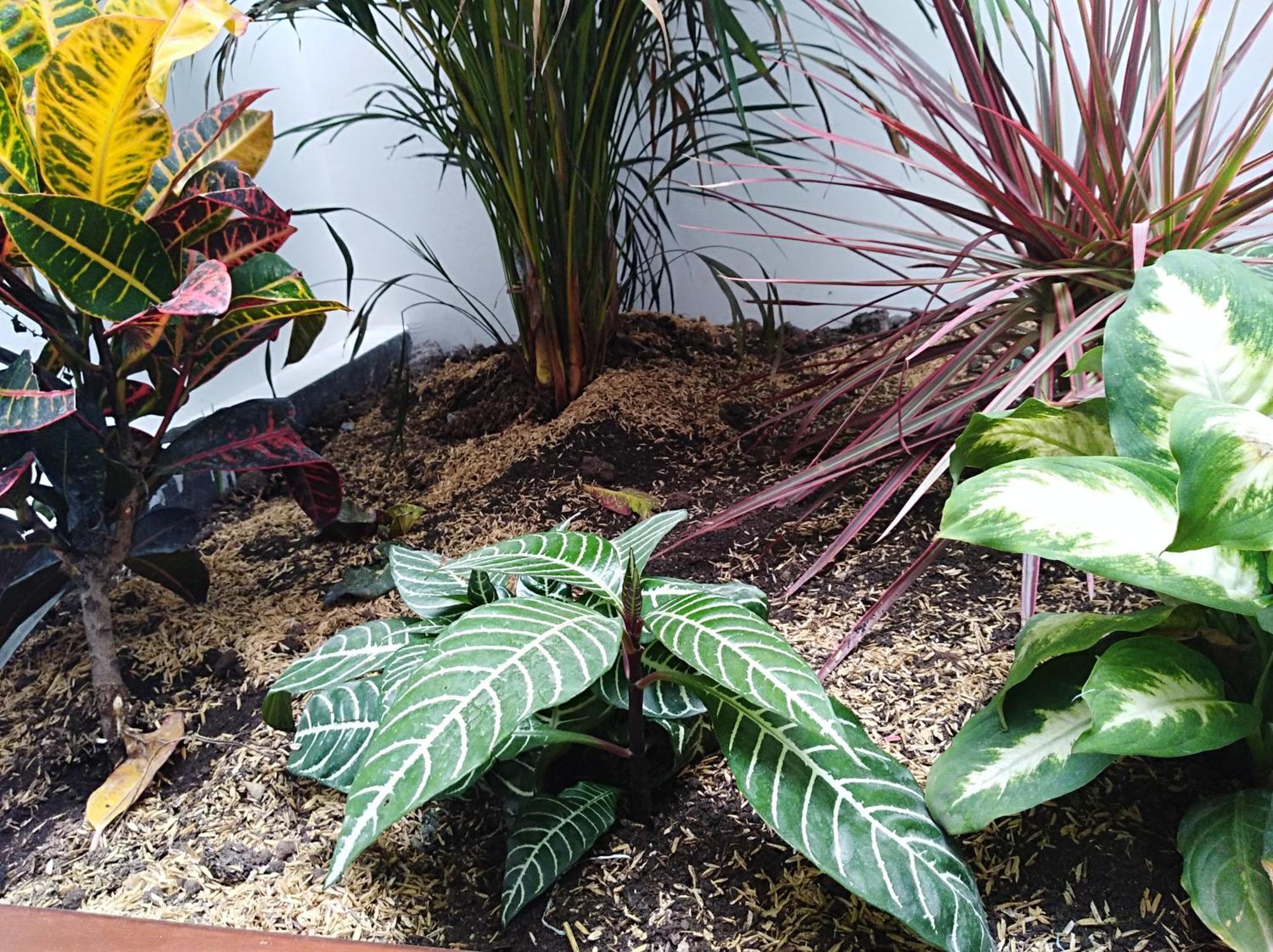 Hotel Jardin 38 Pasto Luaran gambar
